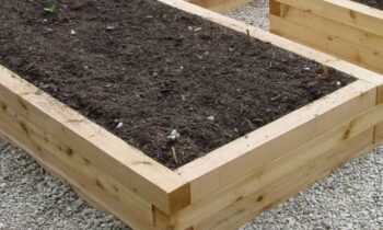 Compost/ Soil Improver