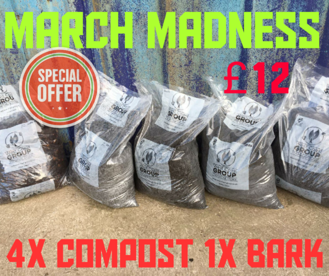 March Offer